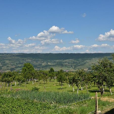 مبيت وإفطار Atyha Kiss Csalad Lak Agropanzio المظهر الخارجي الصورة